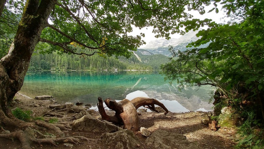 Adamello Brenta Natural Park