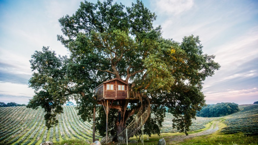 Tree-house Suite Bleue, La Piantata, Viterbo, Italy