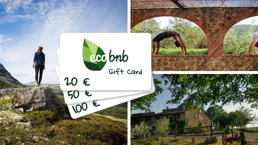 Digital Gift Cards: the benefits on the environment