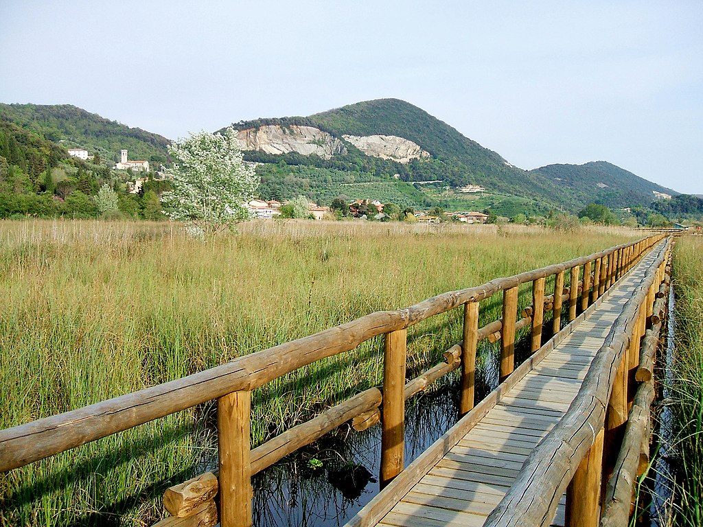 Massaciuccoli park, Tuscany