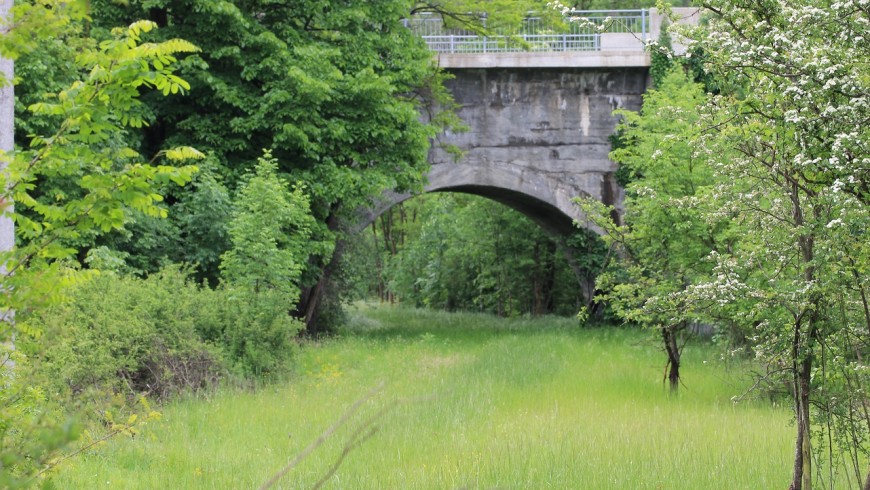 Bridge at the start of the walk tour