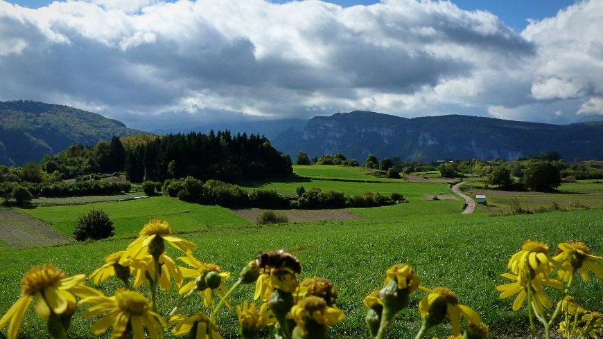 Rotzo's nature, Altopiano dei Sette Comuni, Asiago, Italy