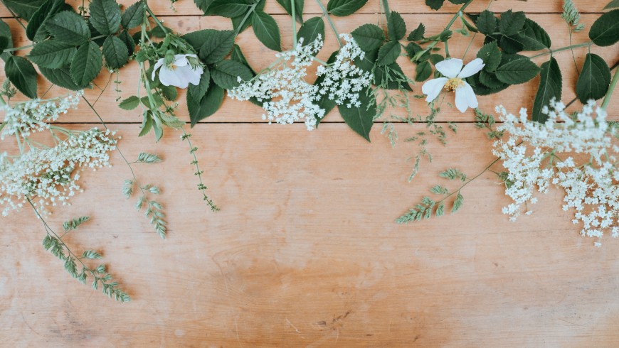 white flowers on a table