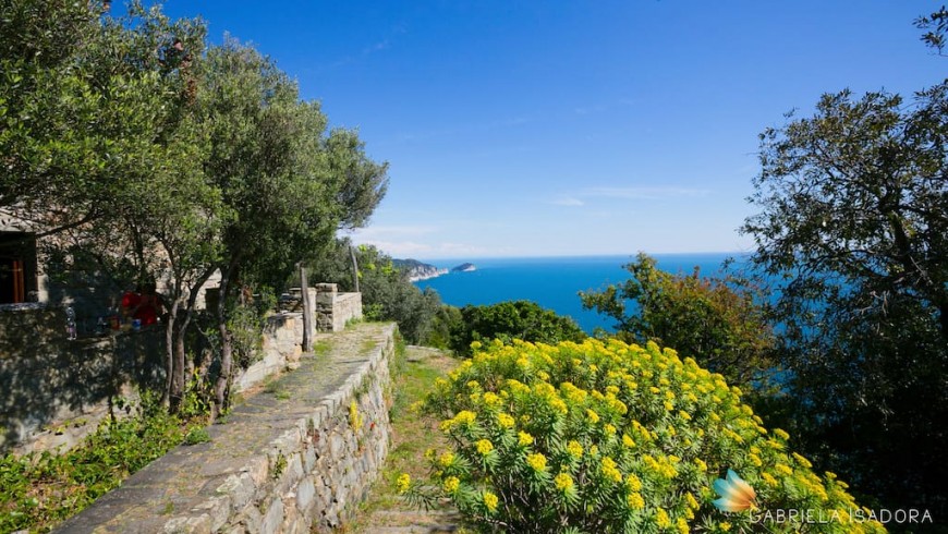 An eco-chic cottage near the Cinque Terre