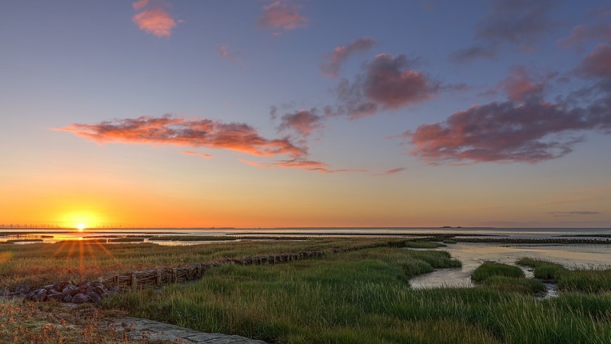 Sunrise over the Wadden Sea near the vegan bnb Vegotel