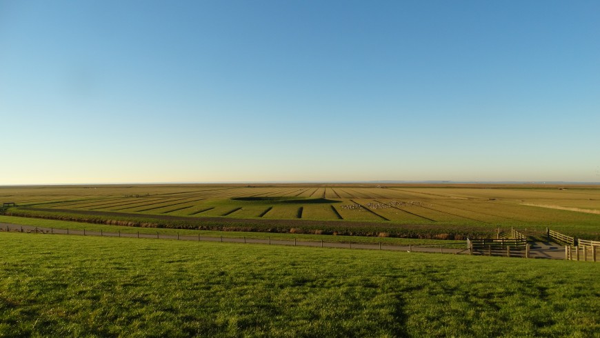 Countryside near the vegan hotel Vegotel