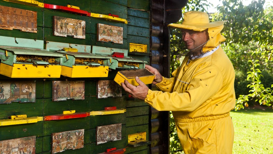Beekeeper Slovenia