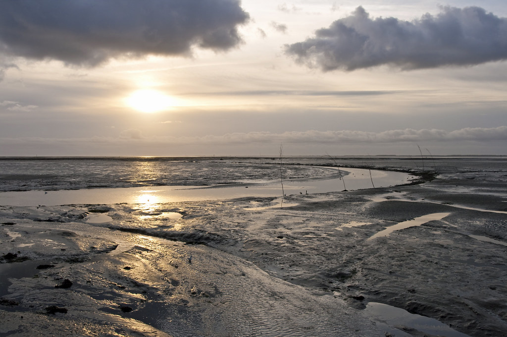 View of Schiermonnikoog in the Wadden Sea land, photo via Flickr