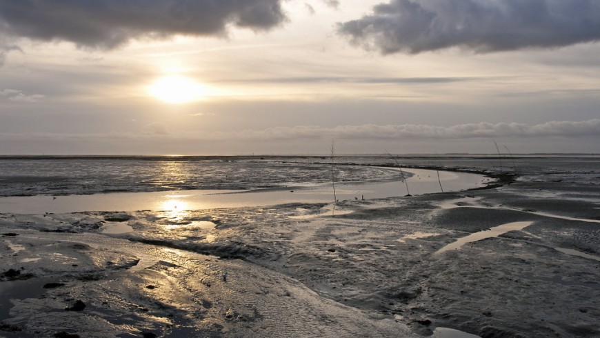 Schiermonnikoog view, photo via Flickr