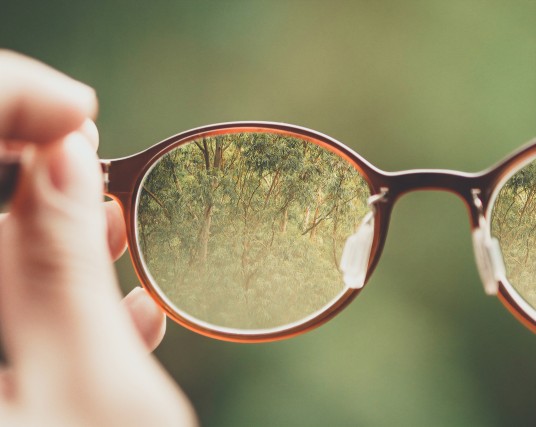 brown glasses with an ecotourism view on a forest