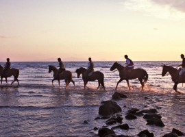 people horseback in sea shore
