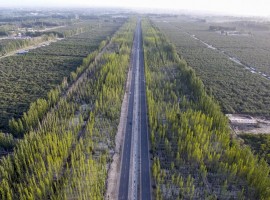 Explainer: What Is the 'Great Green Wall' of China?