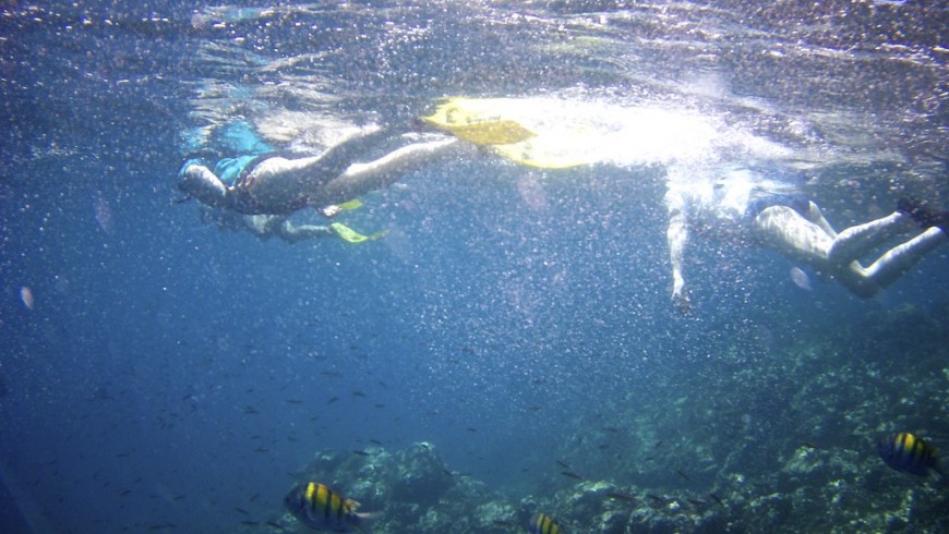 Snorkeling in Costa Rica