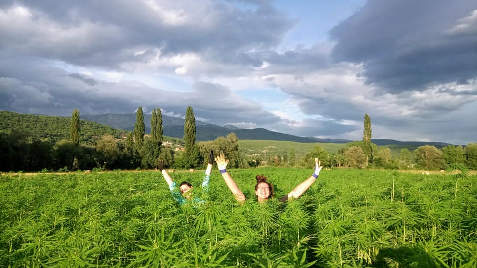 top outstanding experiences in Dalmatia - Hemp farm Moro