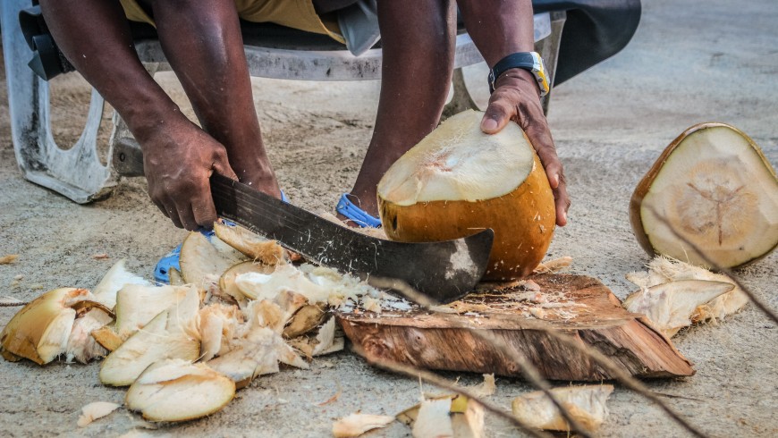 Eat Farm-To-Table, coconut in Costa Rica