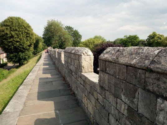 city walls of York with nature