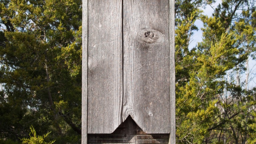 A Bat-Box hanging on a tree