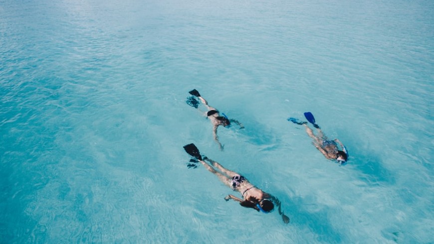 people snorkeling in clear waters