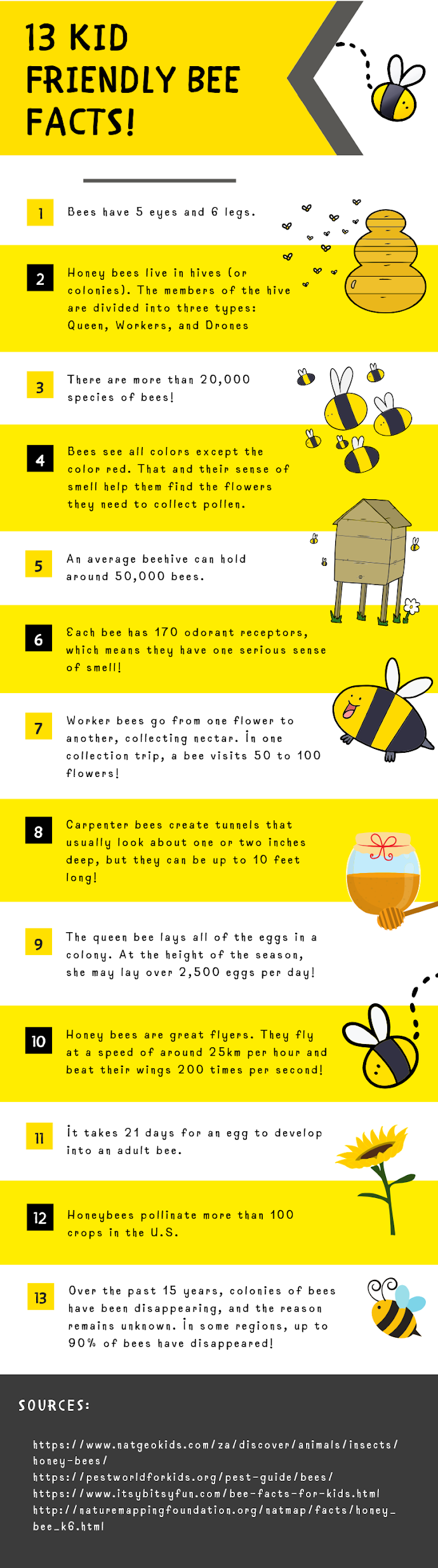 Bee Information for Kids: Bumblebee & Honey Bee Facts