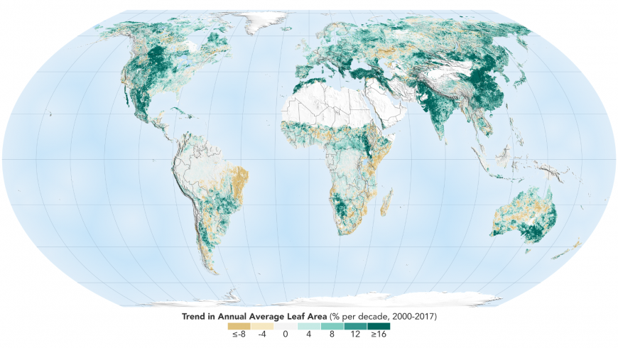 The progression of annual average leaf area