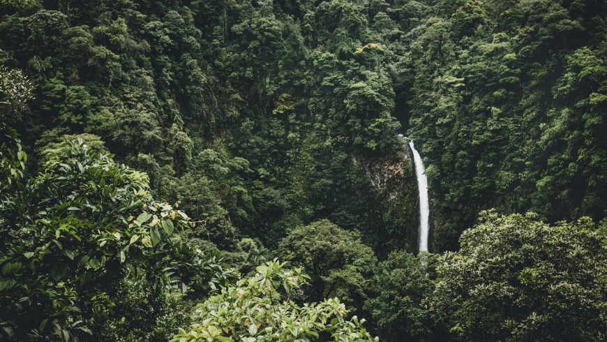 Costa Rica, forests and waterfall