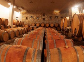 Rodica biodynamic winery - biodynamic wine holidays in Slovenia -