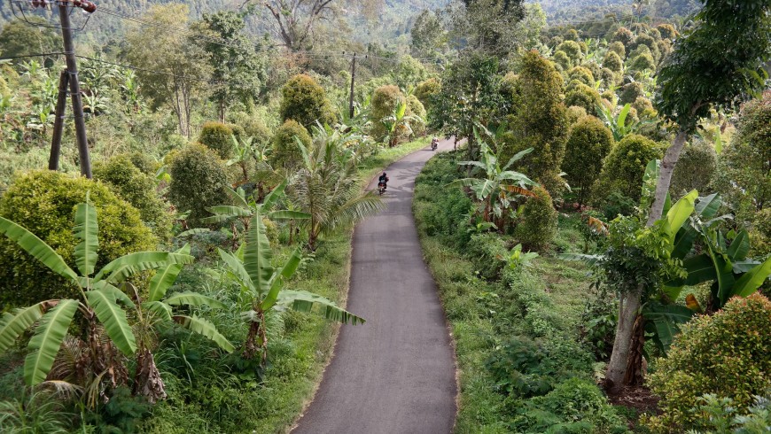 Biking in the hearth of Bali. 