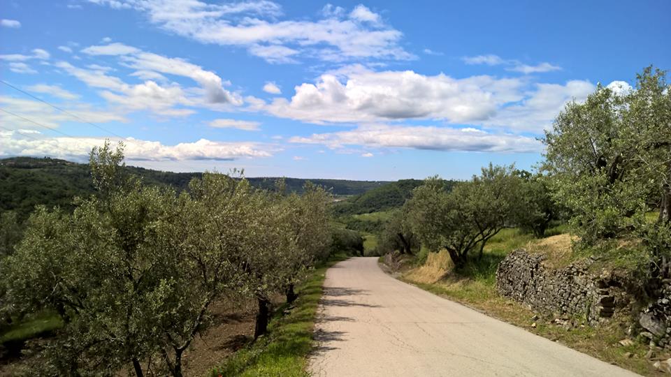 Istrian stone houses Padna - Ecobnb.com