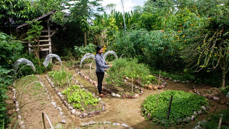 organic farm in bali