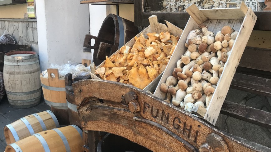 Mushroom stand, San Severino Lucano.