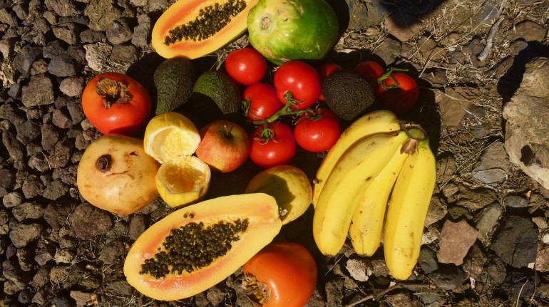 Fruits coming from local sources and vegetables from the garden in La Tanquilla, Canary Islands
