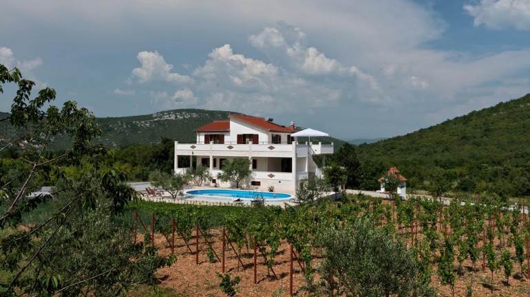 Vineyard eco villa Dalmatia