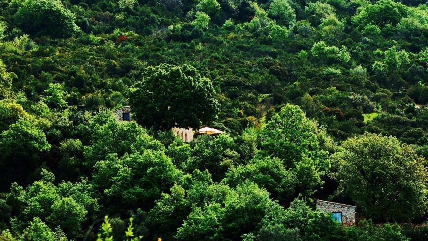 Il cannito ecolodge surrounded by nature of Cilento