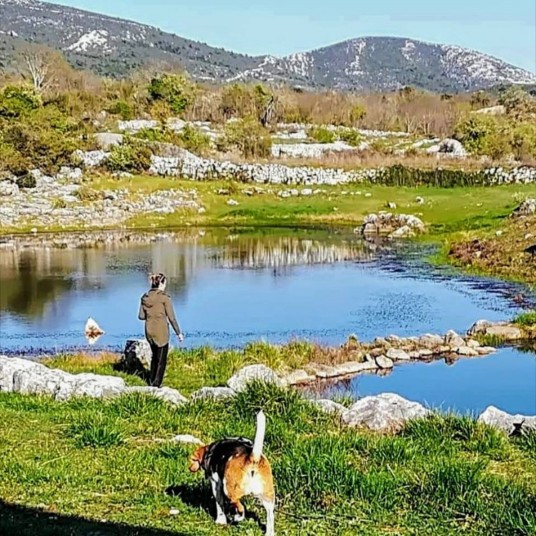 natural springs and puddles in the surroundings of vineyard eco villa in Dalmatia