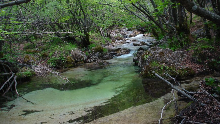 Scerto creek in the Abruzzo National Park