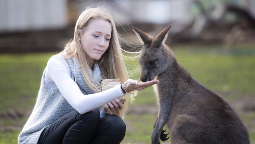 Bonorong Wildlife Sustainable Sanctuaries