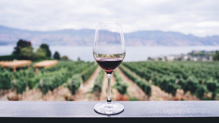 A glass of wine among vineyards