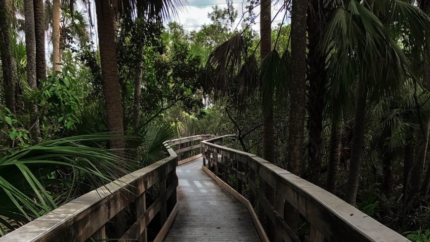 Manatee Park, Fort Myers, Florida