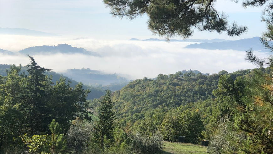 Umbrian landscape