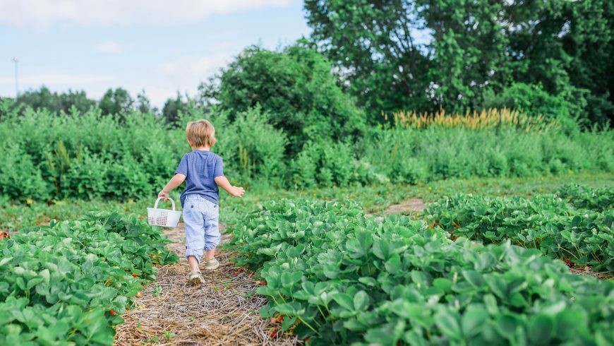 gardening