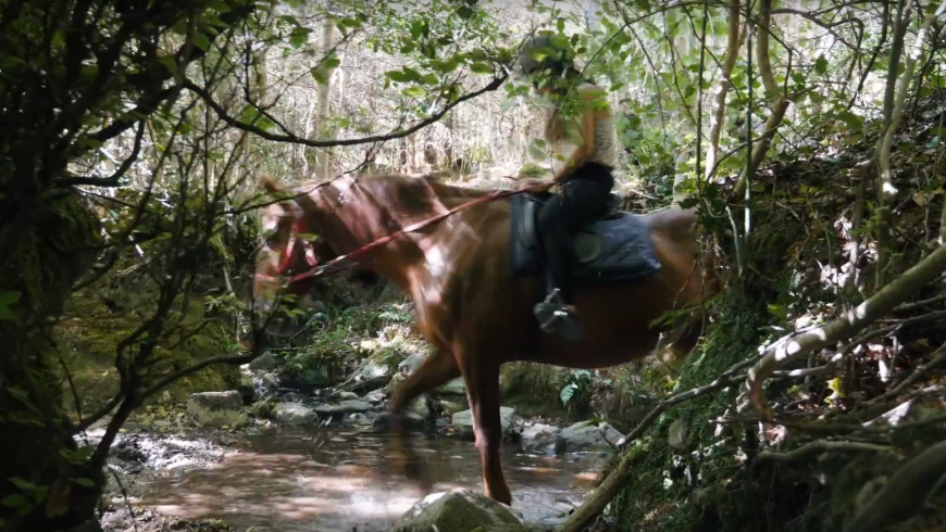 horse riding in Three Tower Eco House