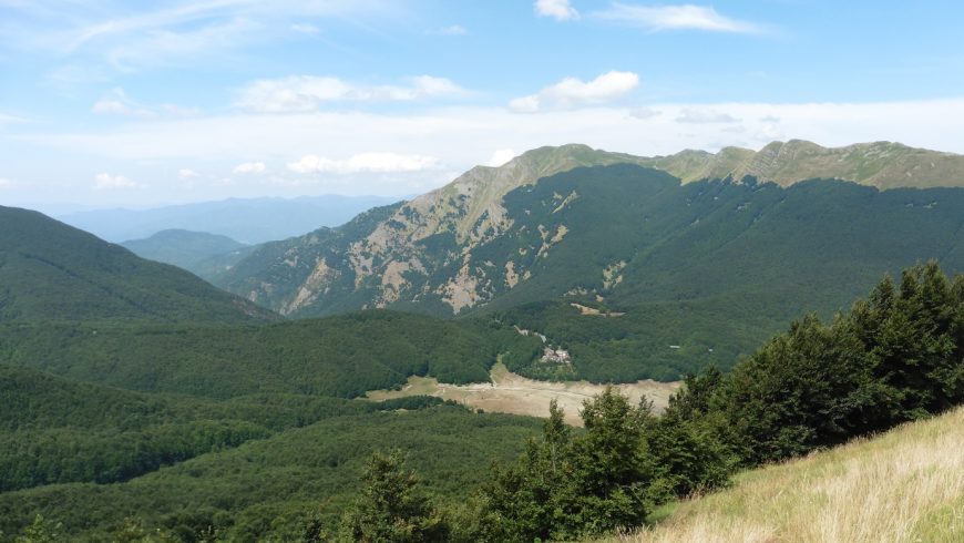 green landscape, Tuscan-Emilian Apennines