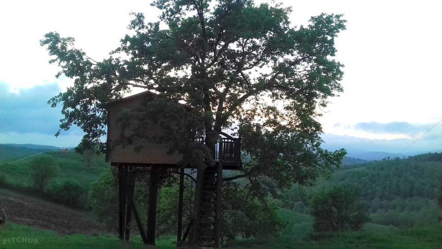 treehouse in the tuscan maremma