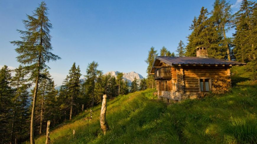 green alpine hut italy in the woods