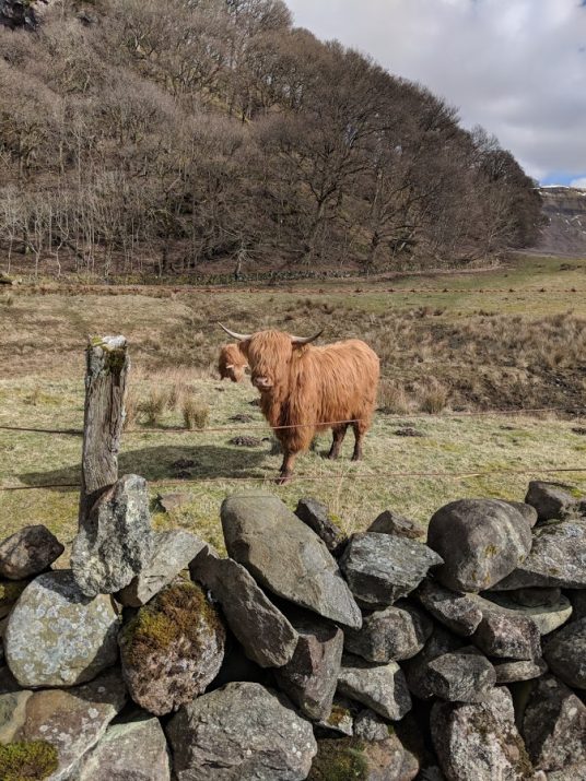 Scotland Countryside