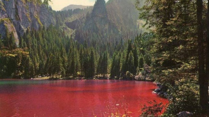 Red lake