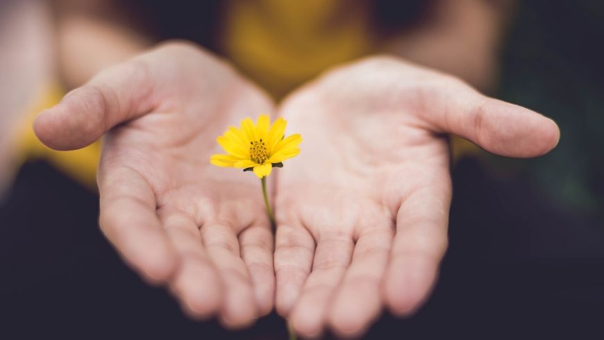 nature in our hands