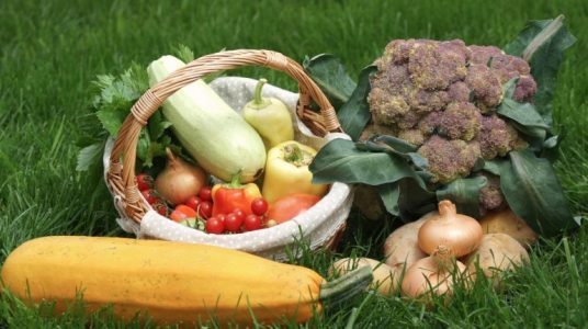 local and organic vegetables