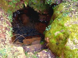 Istria hidden gems - Badavca natural water spring