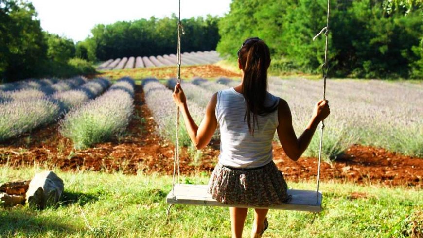 Eco holidays in Istria - Lavanda Deklevi